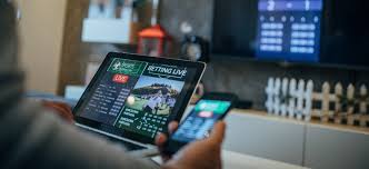 The Ultimate Guide to United Bet Strategies and Insights